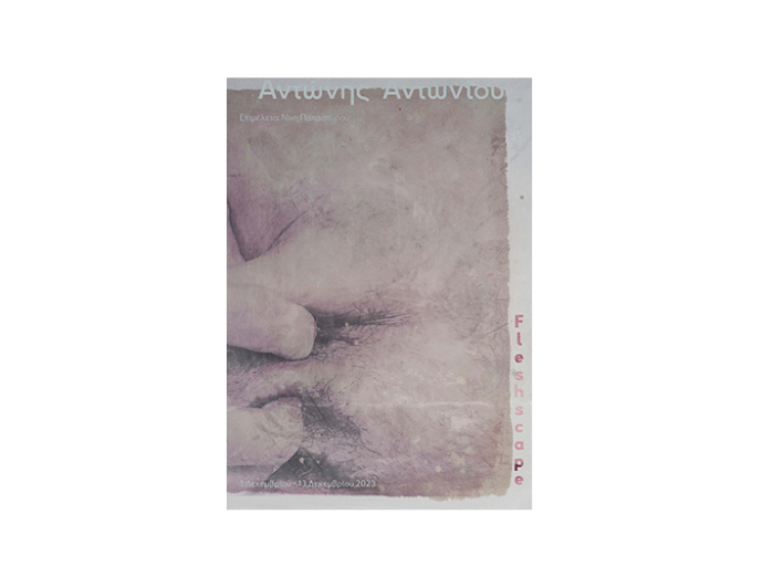 ART16 : "Fleshscape" Αντώνης  Αντωνίου, Ατομική  Εκθεση